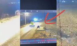 Silopi’de otomobil yol kenarında oturan çocuklara çarptı