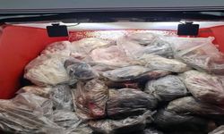 Menşei belirsiz 820 kilo hayvansal iç yağ ve sakatat ele geçirildi