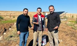 Silopi’de Salep Ekimi İçin Sahada Kontrol