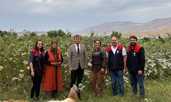 Cizre’de kadın çiftçilerin emeğine dikkat çekildi