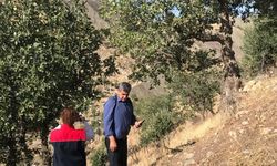 Şırnak’ta Mera Alanları İçin Tespit Çalışması Yapıldı
