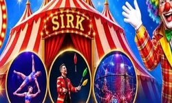 Şırnak’ta Ücretsiz Sirk Gösterileri Başlıyor