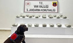 10 kilo toz esrar ele geçirildi