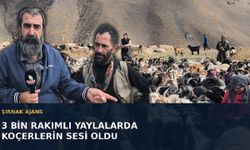 Şırnak Ajans 3 bin rakımlı yaylalarda koçerlerin sesi oldu