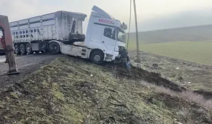Cizre-Nusaybin Yolunda Tır Kontrolden Çıktı