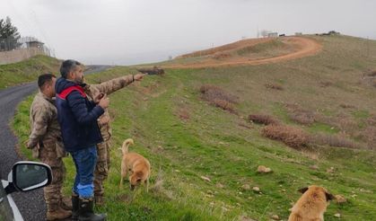 Cizre'de Mera Alanları Kayıt Altına Alınıyor