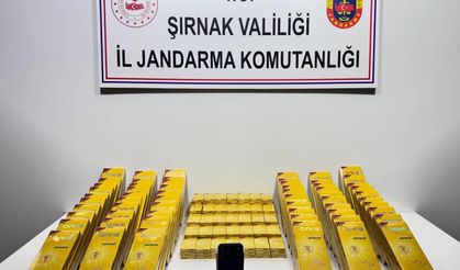 Şırnak’ta Operasyon, 1 Tutuklama