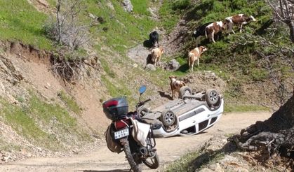 Pancar toplamaya gidenleri taşıyan araç takla attı, 4 yaralı