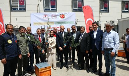 Çiftçilere zeytin fidanı ve arılı kovan desteği