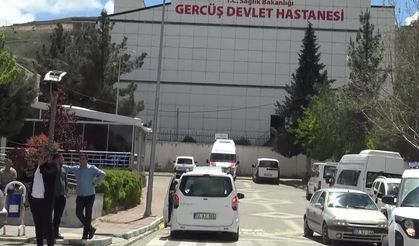 Piknikte akrep sokan kadın hastanelik oldu