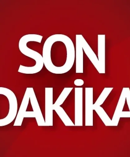 Van Gölü'ne giren kardeşler boğuldu
