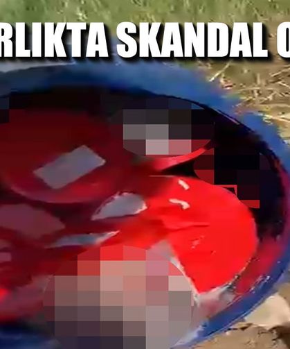 Mezarlıkta plastik kutularda 21 cenin bulundu