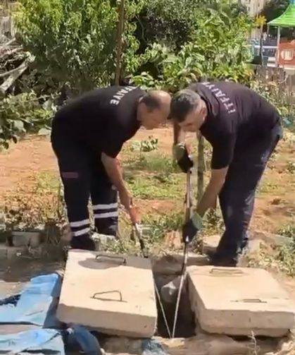 Kuyuda görülen yılan doğaya bırakıldı