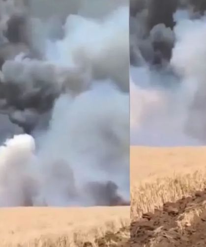 600 dönüm buğday ekili arazi küle döndü