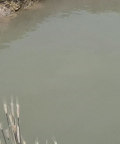 Serinlemek için su birikintisine giren 2 kardeş boğuldu