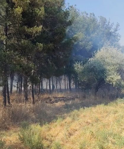 Dicle Üniversitesi yerleşkesinde yangın