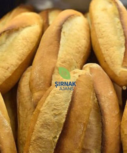 Ekmeğe zam geldi 210 gram ekmek 17,5 TL oldu