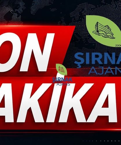 Entübe bebek helikopter ambulansla Van'a sevk edildi