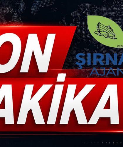 Otomobil bankete düştü 4 yaralı