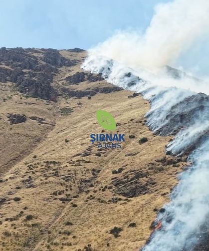 Dağlık alanda yangına sebep olan şüpheli tutuklandı