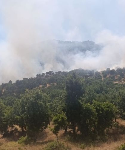 Ağaçlık alanda çıkan yangın söndürme çalışmaları sürüyor