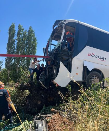 Yolcu otobüsü ağaca çıktı: 2 yaralı