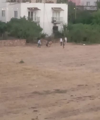 Huysuzlanan inek sahibini yaraladı