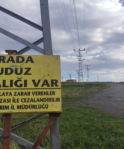 Kuduz nedeniyle mahalleye giriş çıkışlar yasaklandı