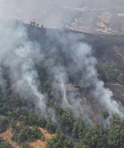 Orman yangınına havadan ve karadan müdahale başladı