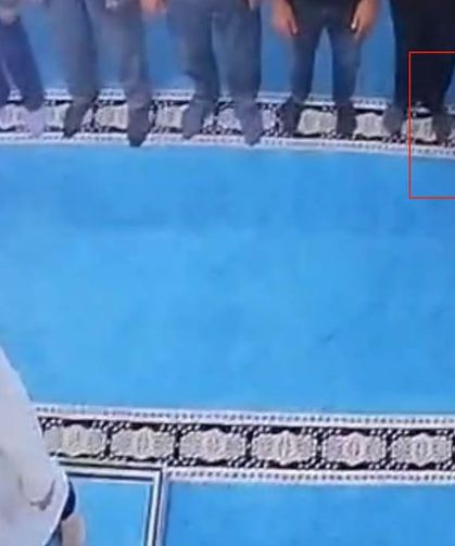 Camide kediyi tekmeleyen şahıs serbest bırakıldı