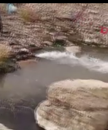 Çamur içinde çırpınan balıklar için tanker tanker su taşındı