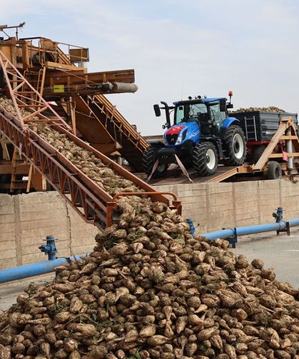 Şeker Fabrikası'nda 71. Kampanya Dönemi açıldı 240 bin ton pancar işlenecek