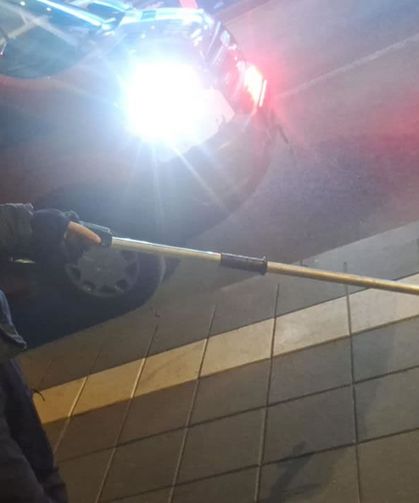 Cami bahçesine giren yılan itfaiye ekiplerince yakalandı