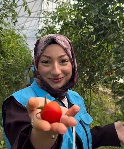 Öğrenciler sera ziyaretinde hasada katıldı
