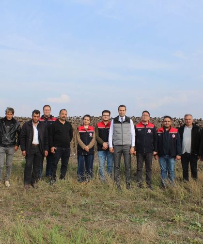 80 dönümlük tarlada ayçiçeği hasadı