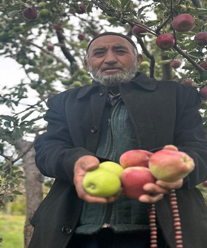 Bir ağaçta hem kırmızı hem yeşil elma