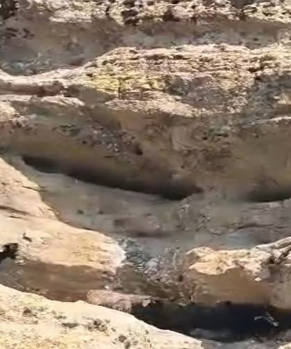 70 metre yükseklikte mahsur kalan keçiler kurtarıldı