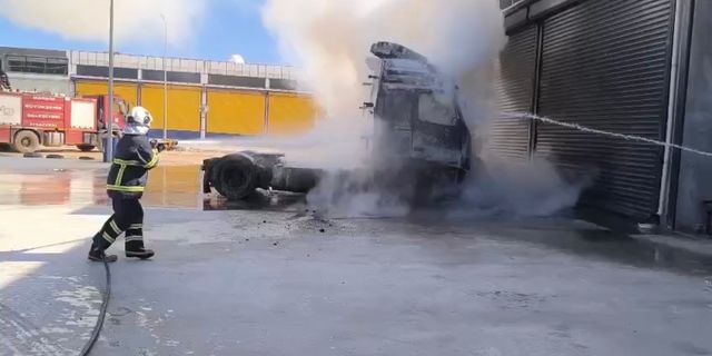 Park halindeki tır alev alev yandı