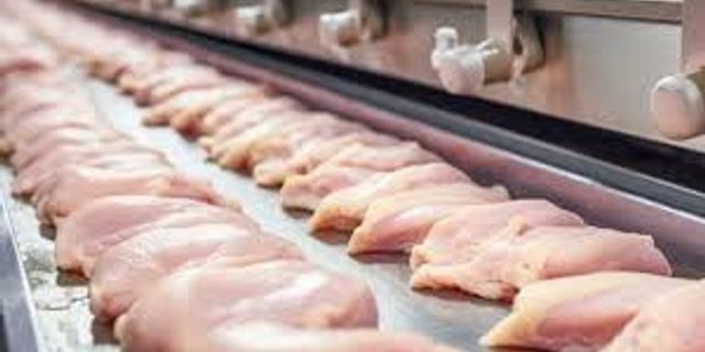 Ticaret Bakanlığı Tavuk İhracatını Durdurdu