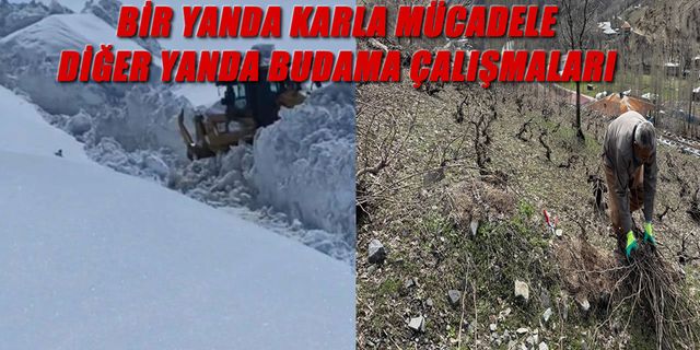 Beytüşşebap’ta şaşırtan tablo, aynı gün hem kar hem bahar