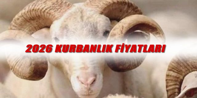 Bayram öncesi kurbanlık telaşı, fiyatlar cep yakıyor
