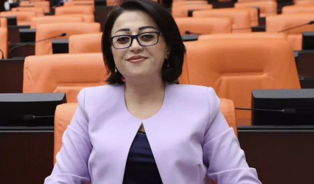 DEM Partili Vekil“Kaçak Elektrik Söylemi Irkçı Bir Manipülasyondur”