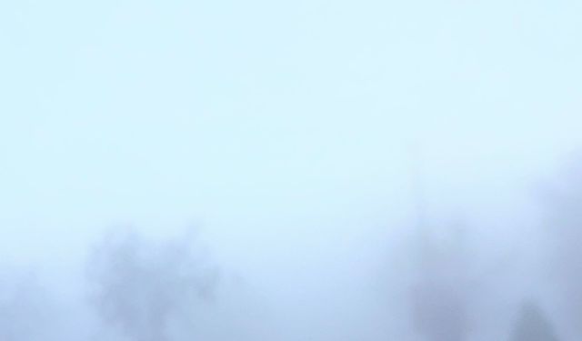 Yoğun sis hayatı felç etti