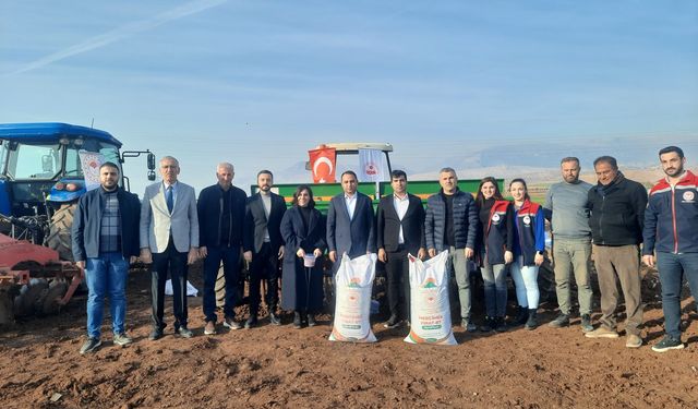 Silopi’de Kırmızı Mercimek Toprakla Buluştu