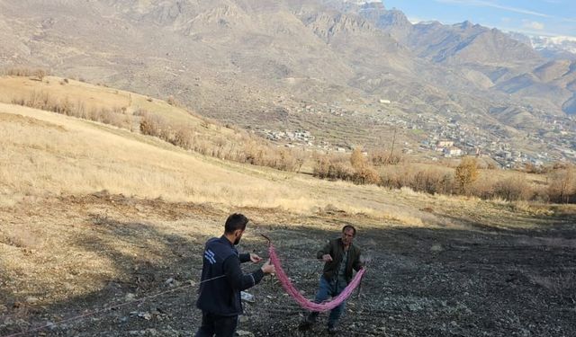 Çiftçilere Uygulamalı Bağ Desteği