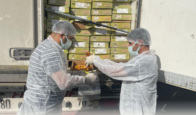 Şırnak’ta İthal Gıda Ürünlerine Geçit Onayı