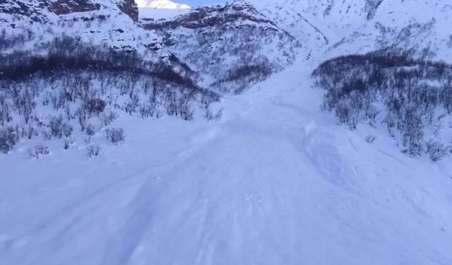 Çığ Hakkari-Çukurca Yolunu Kapanmasına Neden Oldu