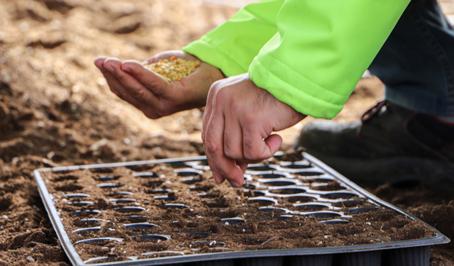 300 Bin Fide Ücretsiz Toprakla Buluştu