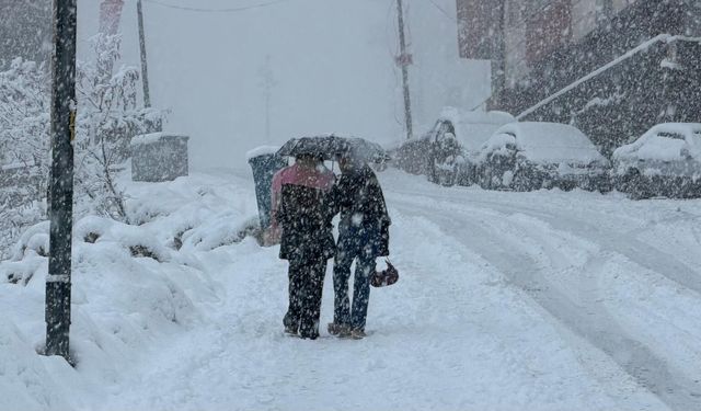 Kar nedeniyle 20 köy ulaşıma kapandı