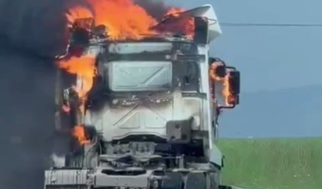 Silopi'de Seyir Halindeki Tır Alev Alev Yandı